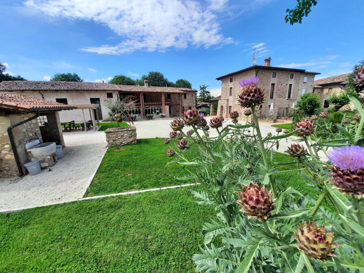 Corte Davini Agriturismo Monzambano Kültér fotó