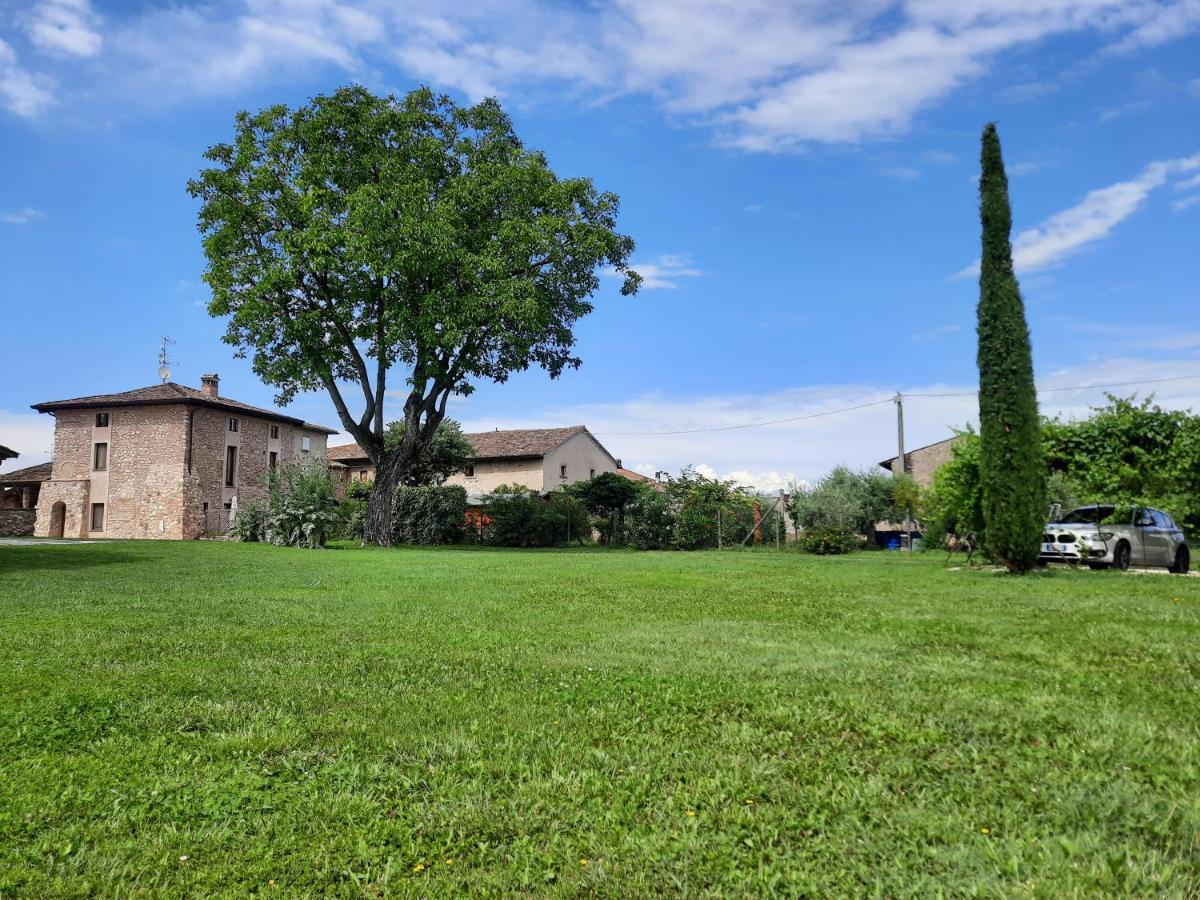 Corte Davini Agriturismo Monzambano Kültér fotó