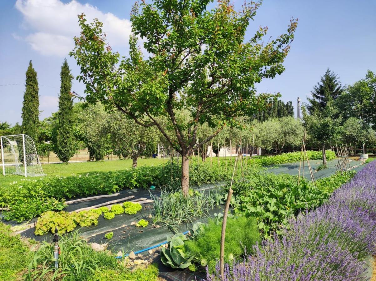 Corte Davini Agriturismo Monzambano Kültér fotó
