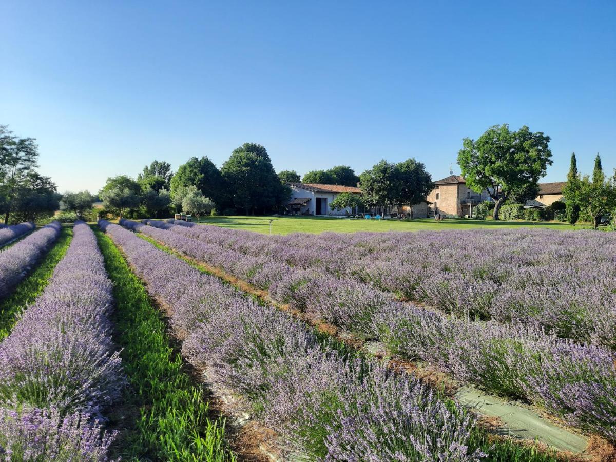 Corte Davini Agriturismo Monzambano Kültér fotó