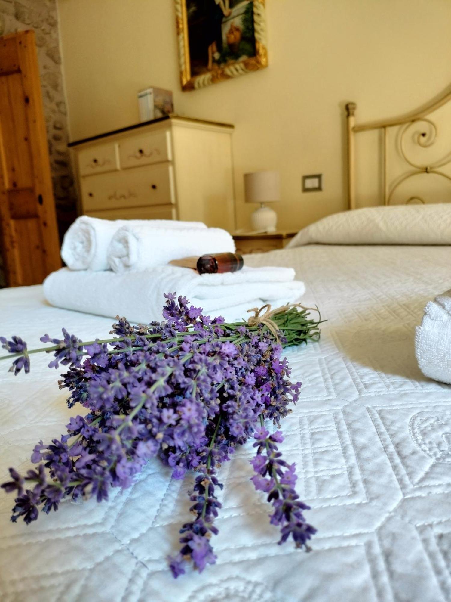 Corte Davini Agriturismo Monzambano Kültér fotó