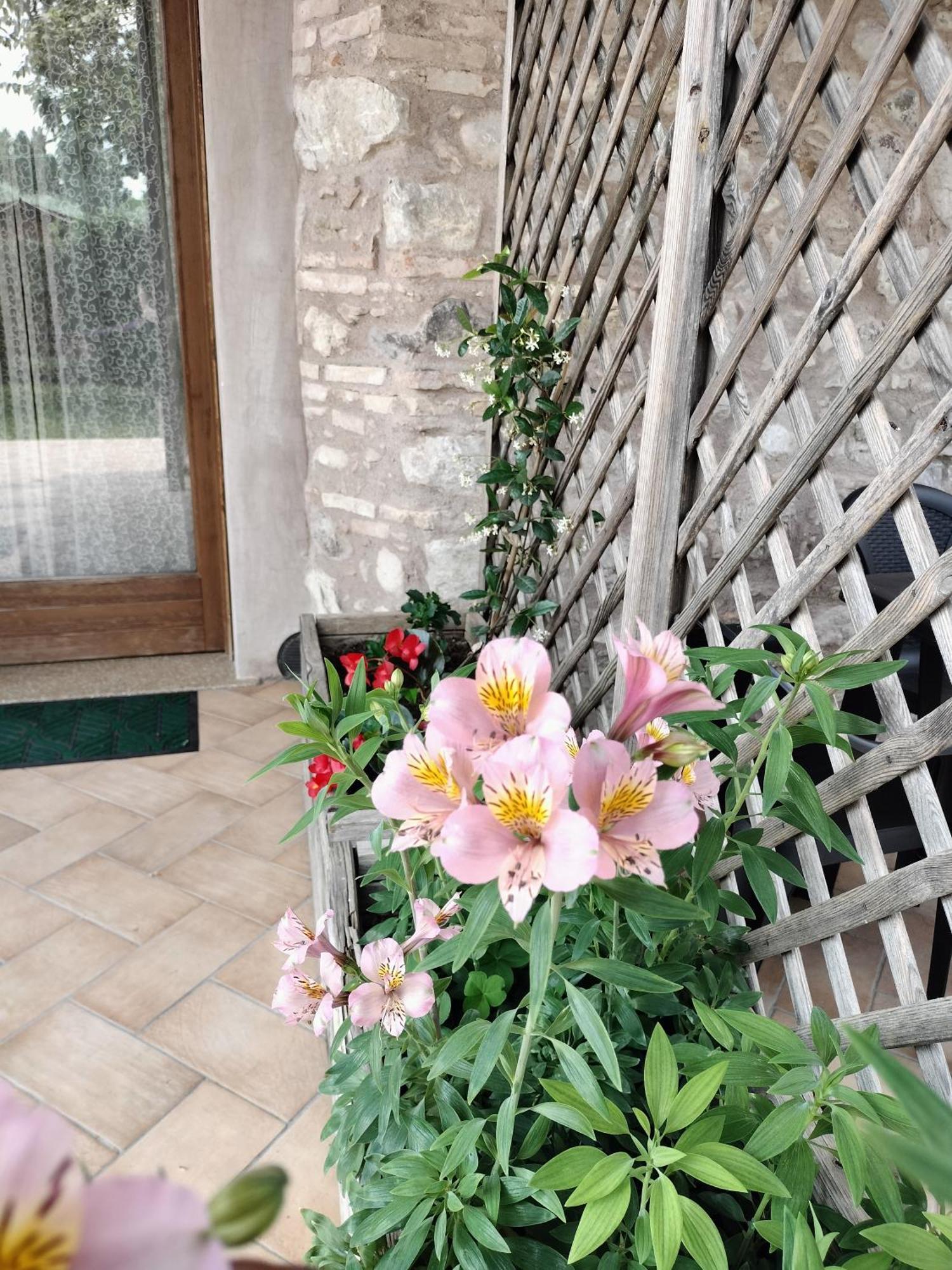 Corte Davini Agriturismo Monzambano Kültér fotó