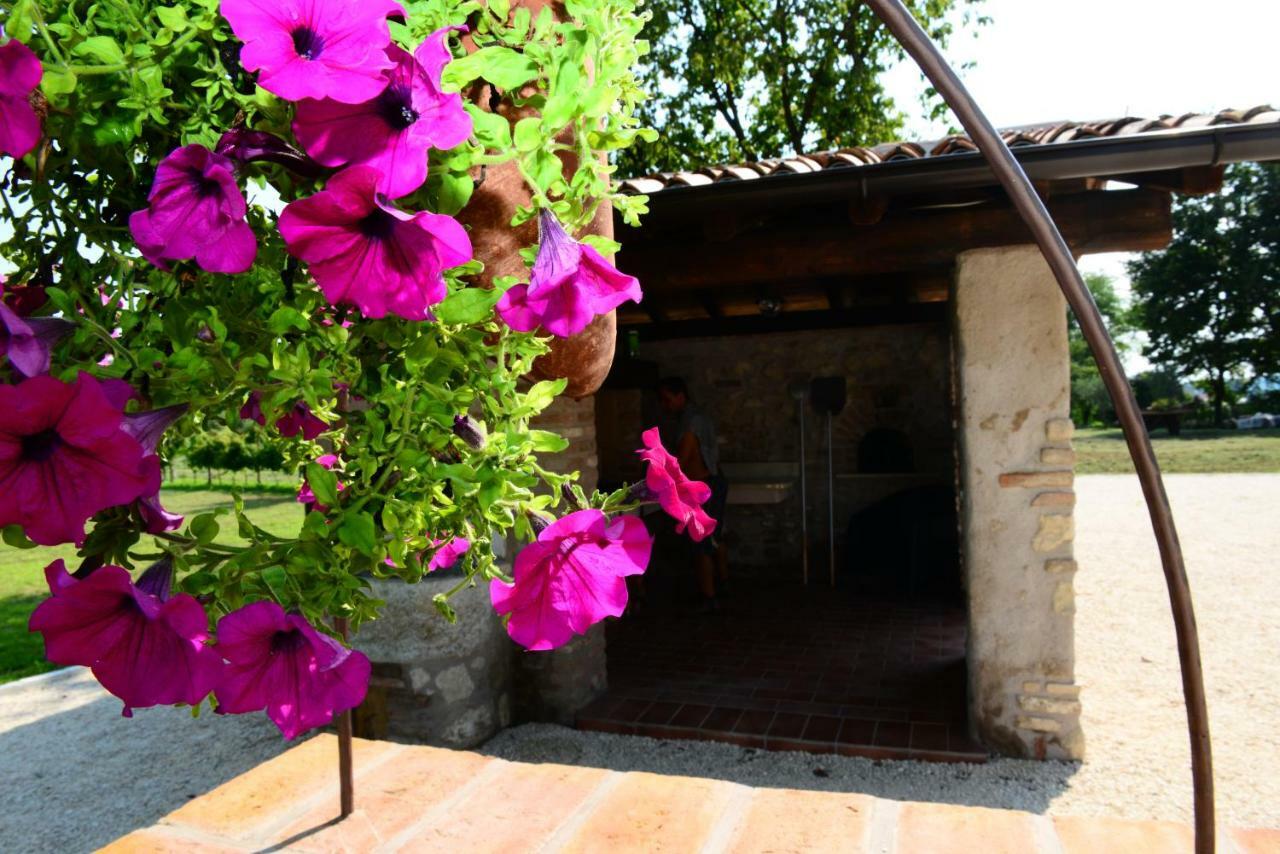 Corte Davini Agriturismo Monzambano Kültér fotó